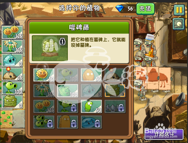 植物大战僵尸2攻略 神秘埃及 第六天二星
