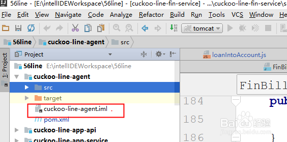 intellij ide设置隐藏项目配置文件