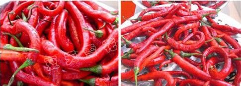 正宗湖南剁椒的制作方法
