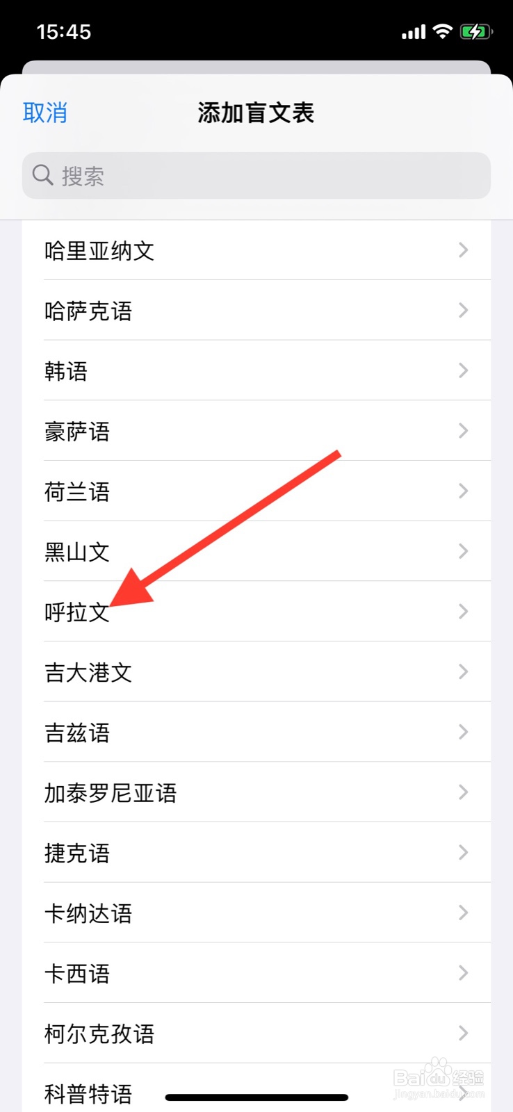 iPhone旁白盲文怎样添加“呼拉文”盲文表