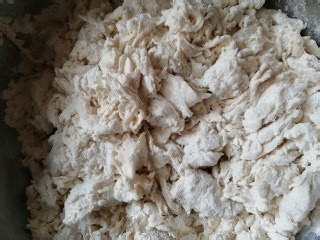 萝卜粉条肉包子