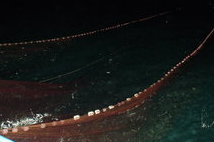 夏天夜钓都需要注意什么