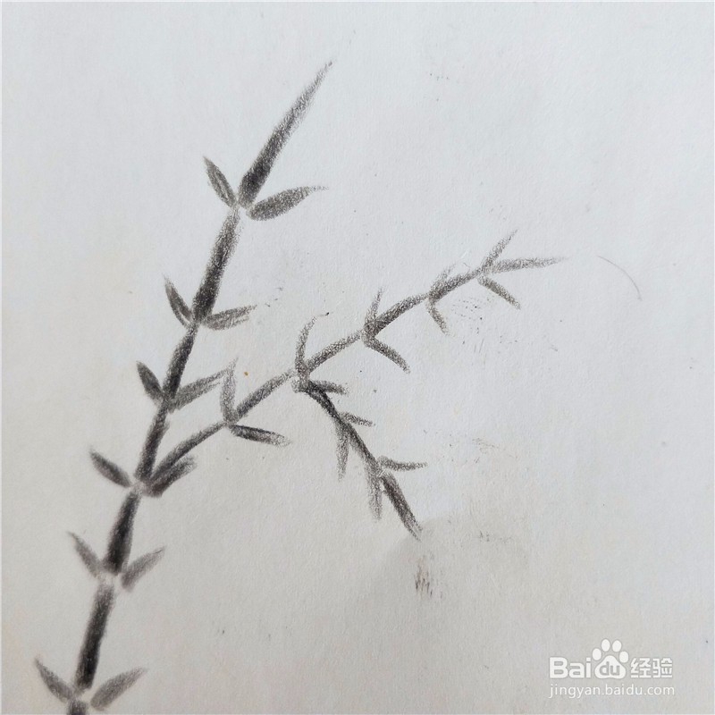 怎么画竹子的简笔画？