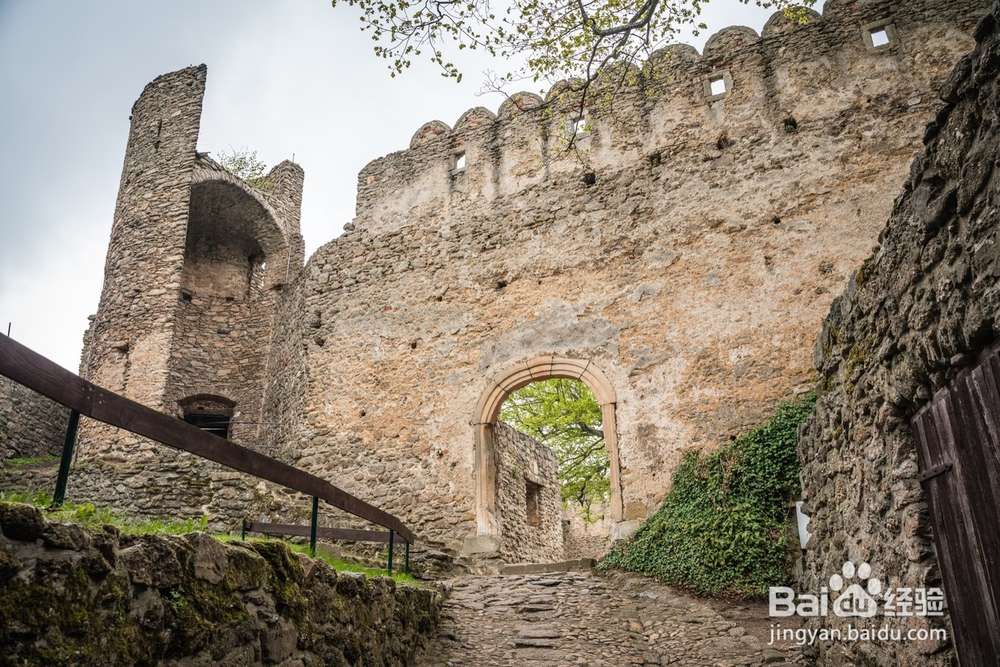 波兰古堡旅游简记11