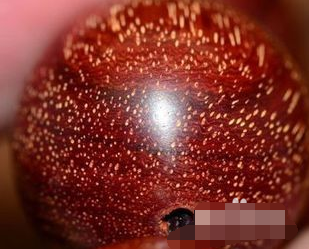 金星小叶紫檀价格为什么那么高