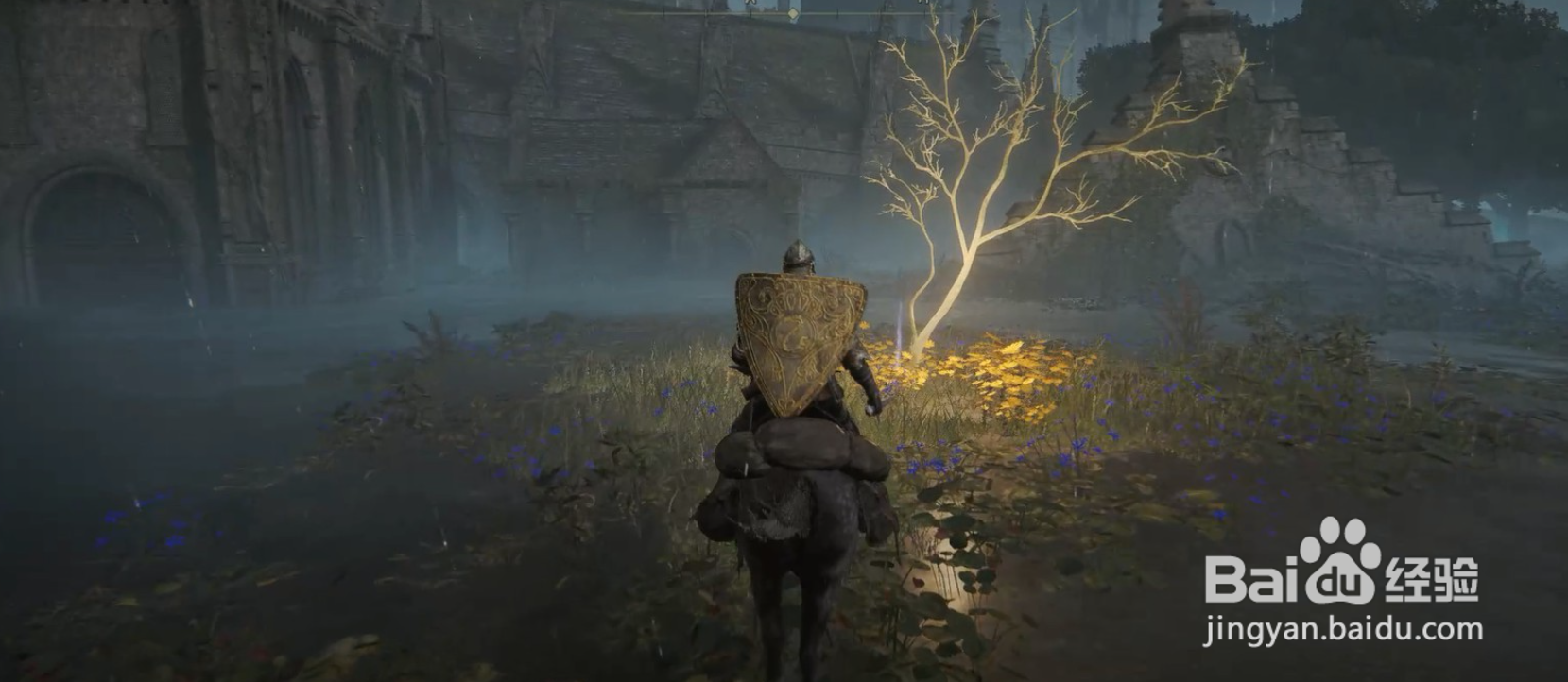 艾尔登法环黄金种子怎么获得