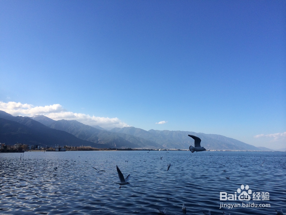 怎么玩？云南说走就走——闺蜜的7天6夜游小攻略