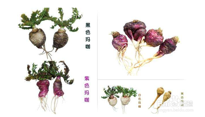 玛咖怎么吃？玛咖有哪些功效与作用？