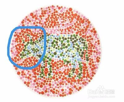 色盲检查图（第五版）的使用方法