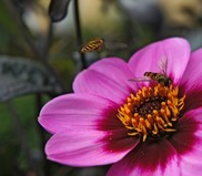 单反相机如何获得最佳画质