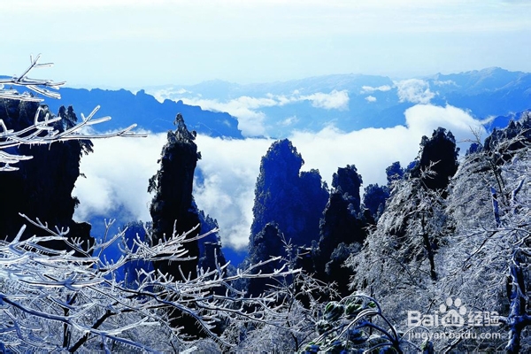 张家界景区农家客栈推荐