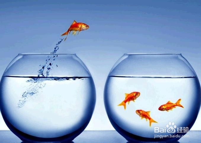 如果你正在遭遇这6种情况，那么你离辞职不远了!