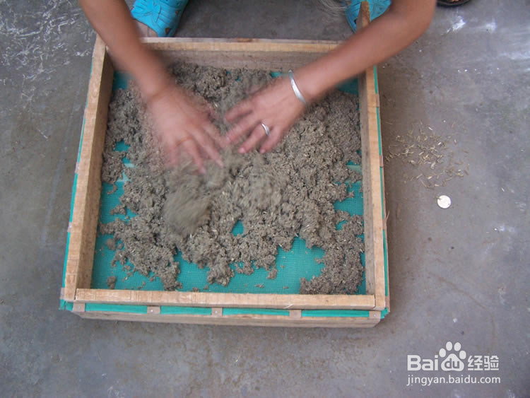 手工制作蕲艾绒和蕲艾条全过程(详细教程)