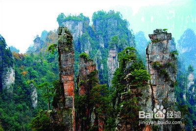 成都到张家界旅游攻略