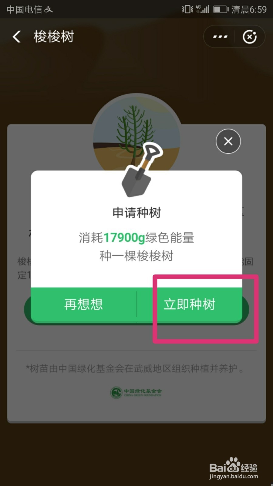 蚂蚁森林攒够能量后怎么种树