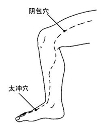 怎么让小腿变得纤细?