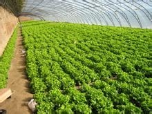 产后减肥四法 让妈妈轻松瘦