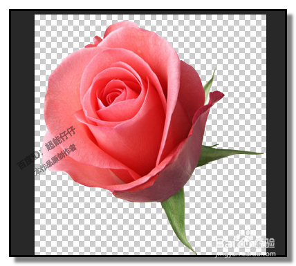 PS中，操控变形怎样用？