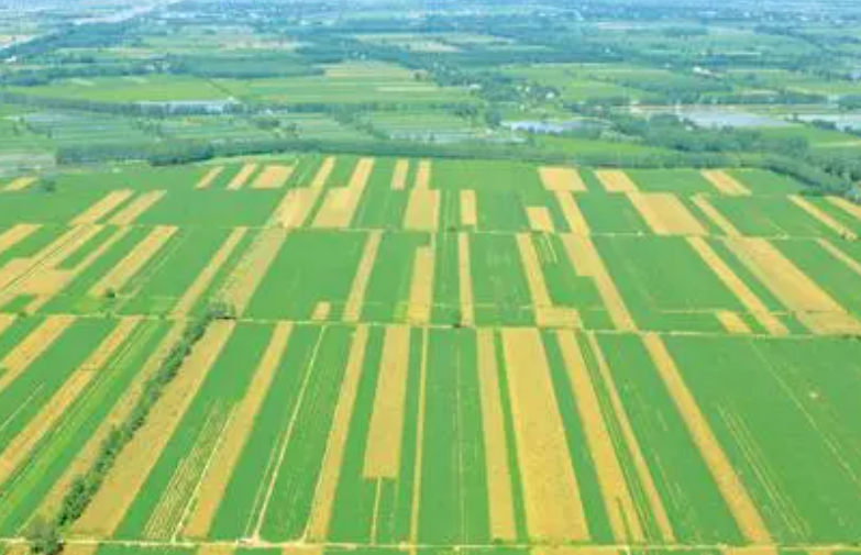 中国八大平原有哪些