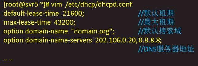 DHCP的搭建与维护