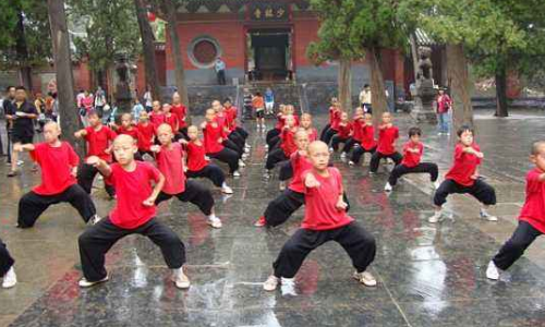 文武学校哪里好