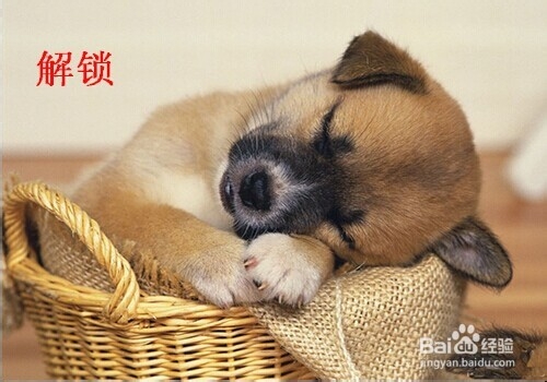 快速利用ps将图片变成素描