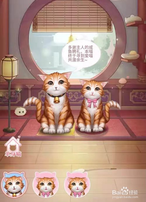 爱江山更爱美人 后宫秘史 如何养宠物 百度经验