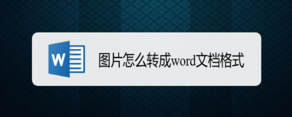 图片怎么转成word文档格式
