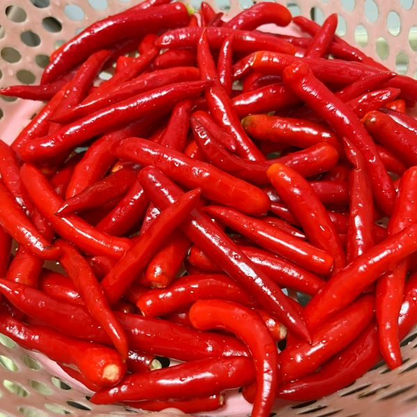 广式蒜蓉辣椒酱