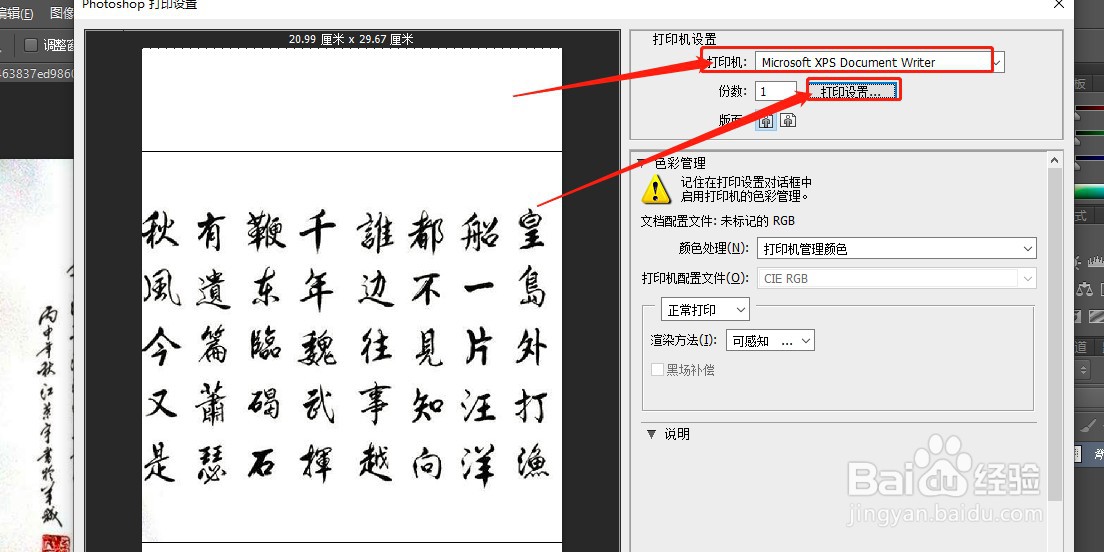 如何查看XPS文档选项功能?