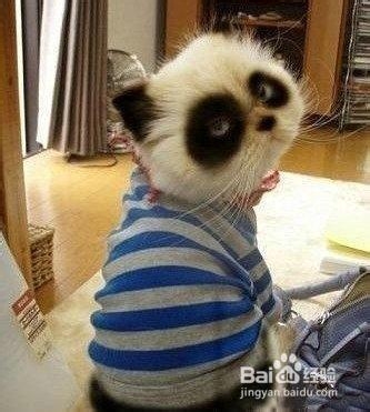 熬夜的坏处及补救方法