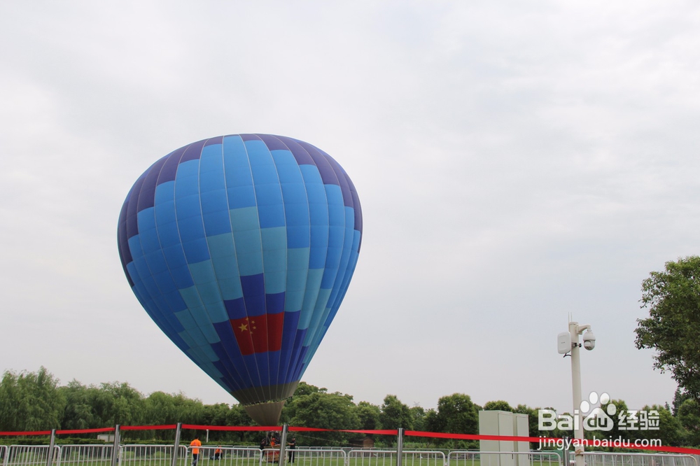 上海旅游攻略之周浦花海