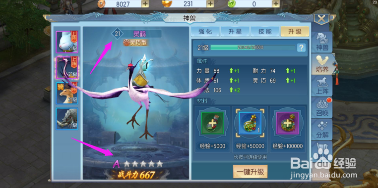 那一剑江湖如何给神兽提升等级