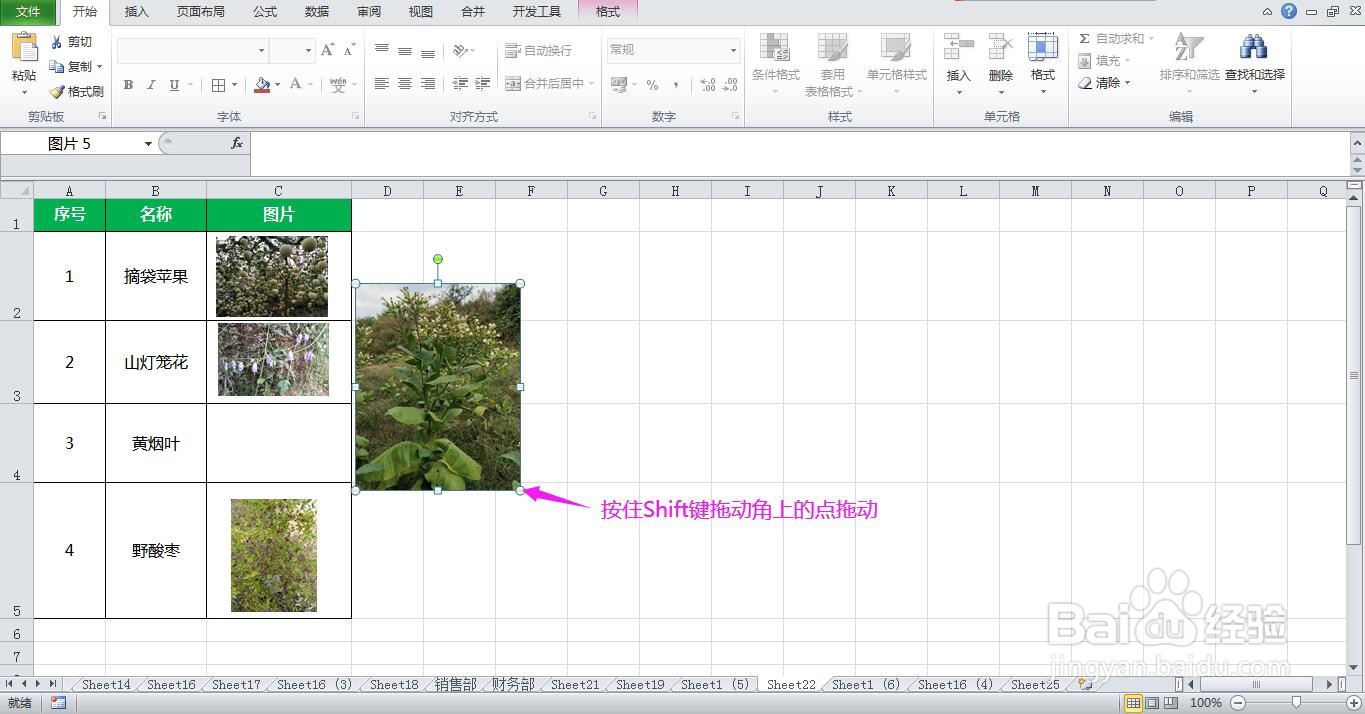Excel表格中调整图片大小时变形了怎么办