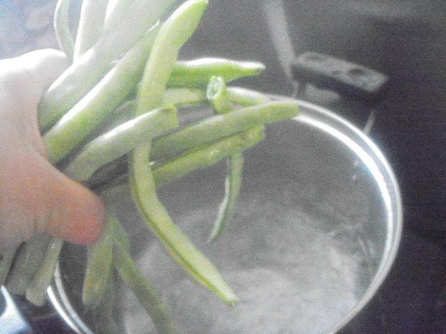 猪肉豆角馅饺子的做法，百吃不腻