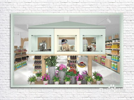 开猫店的投资计划