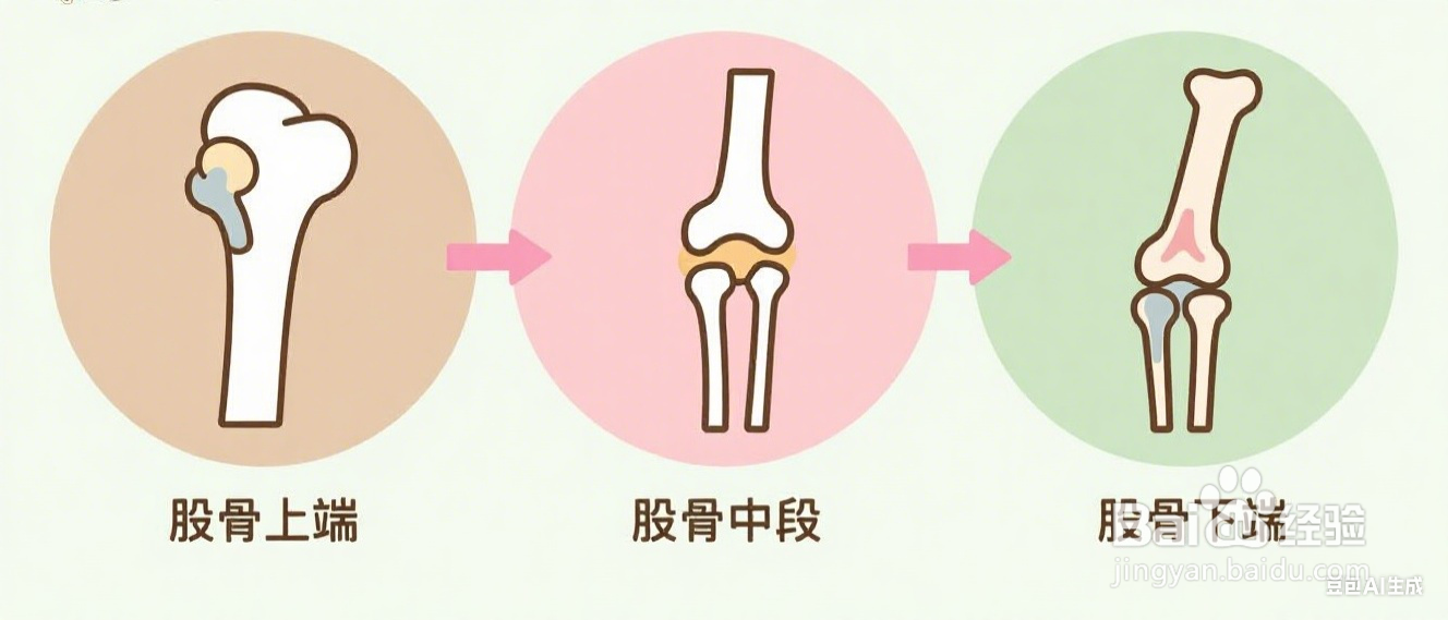 怎么瘦大腿和小腿肚