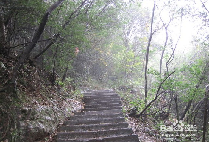 杭州不拥挤的景点——九溪