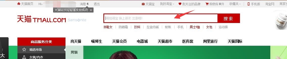 天猫怎么分期付款,天猫商城分期付款流程