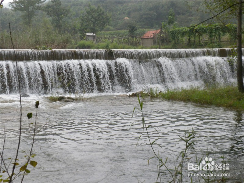 山东到哪儿去爬山？（一）