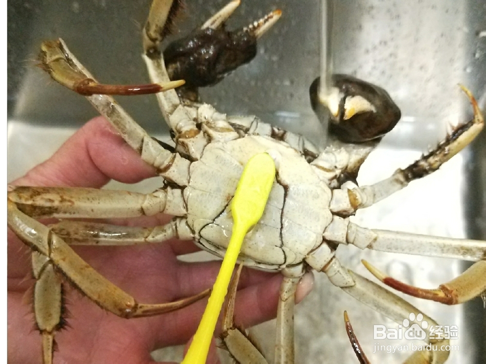 老厨师教你做大闸蟹