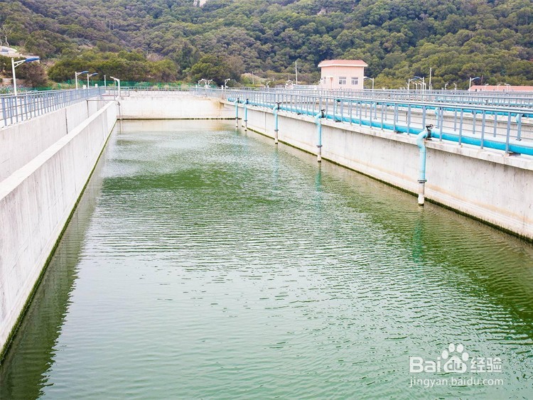 德丰生物污水处理复合细菌的使用方法？