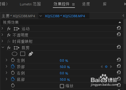 Adobe Premiere Pro 帷幕