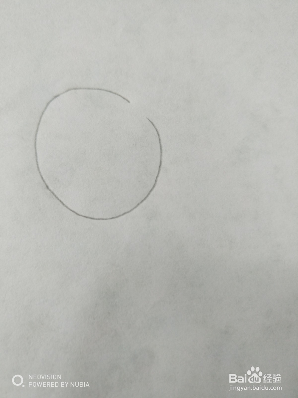 简单可爱的小鸟怎么画（四）