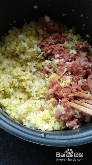 食补佳品白菜馅饺子