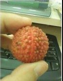 各种吃水果的有效方法 ,吃货们的最爱