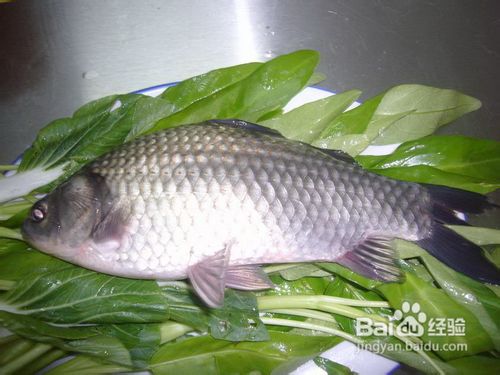 痄腮不能吃什么