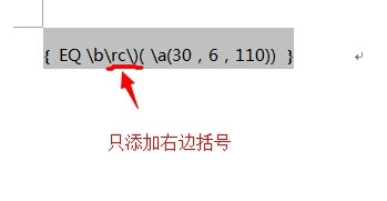 Word域代码特殊指令详解之二：\B括号开关