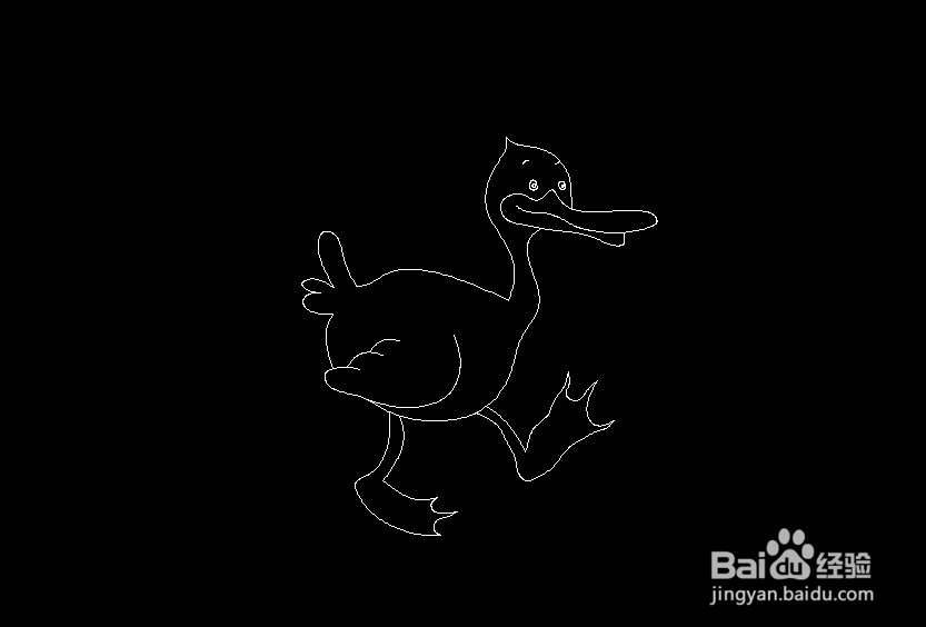 使用CAD如何画扁嘴鸭