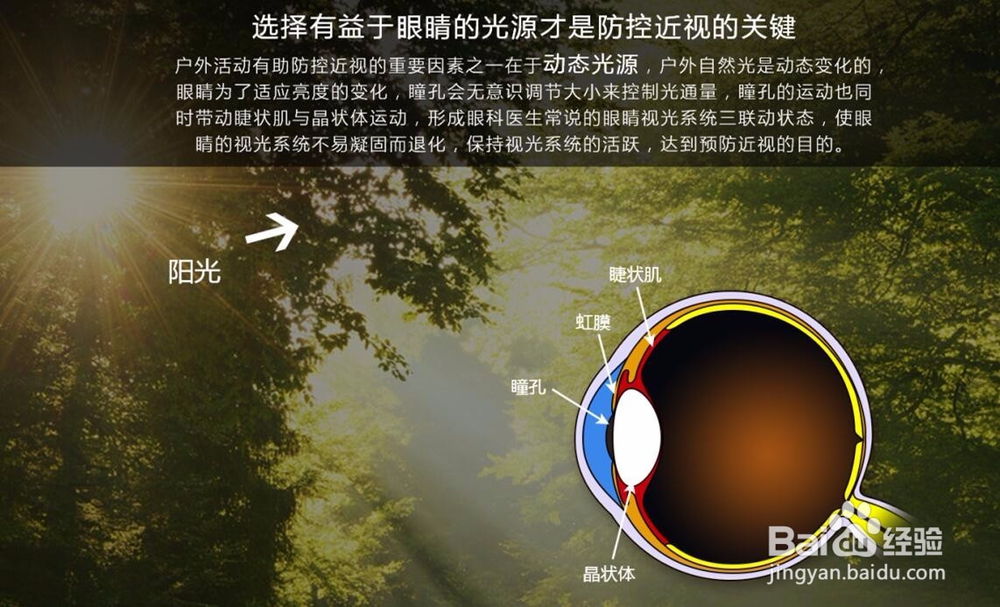 儿童护眼的方法有那些